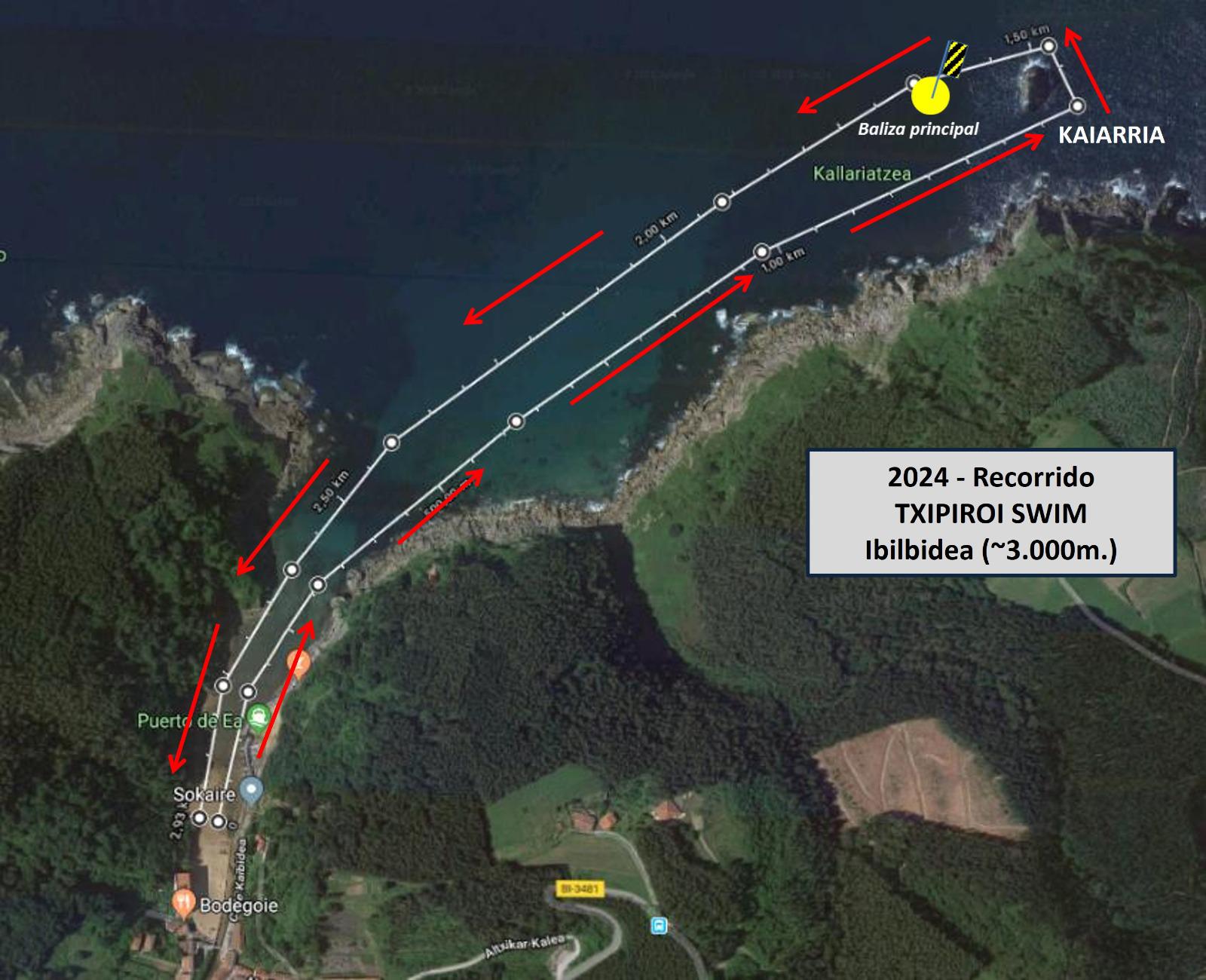 Txipiroi Swim mapa